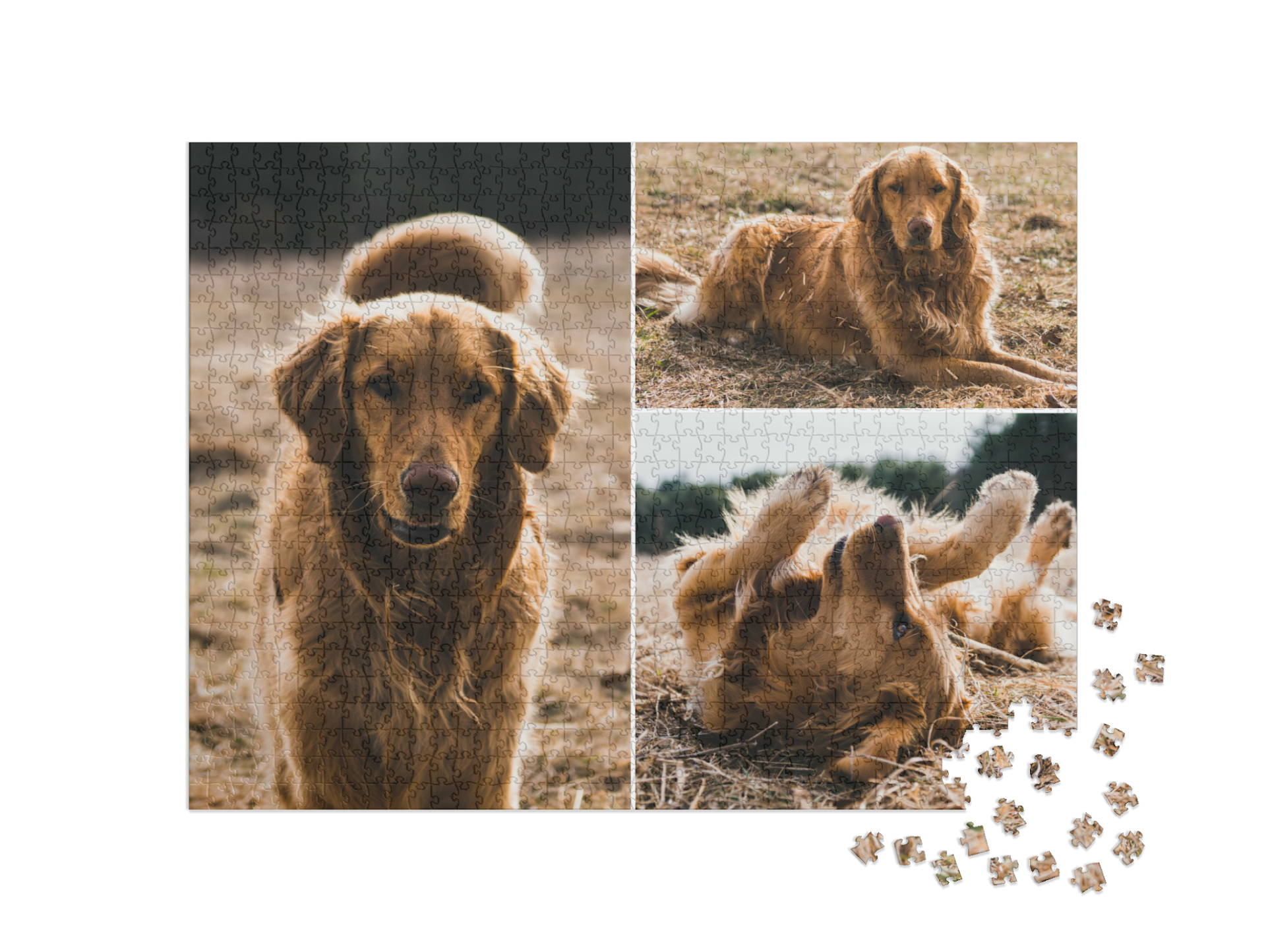 Puzzle koláž