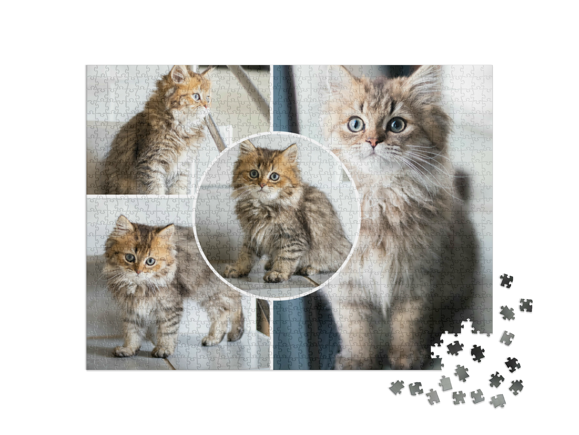 Puzzle koláž
